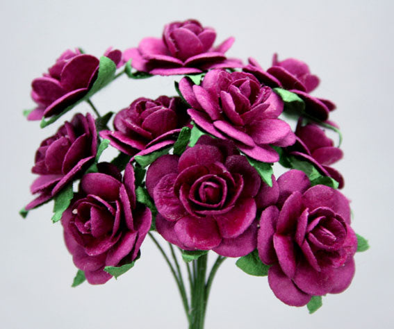 2cm Roses Fuschia