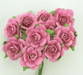 2cm  Roses Dusky Pink