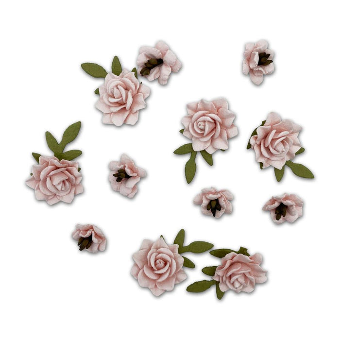 Florets Paper Flowers - Taffy