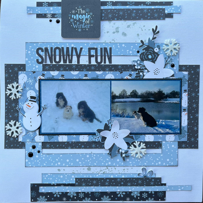 Snowy Fun by ELAINE KING