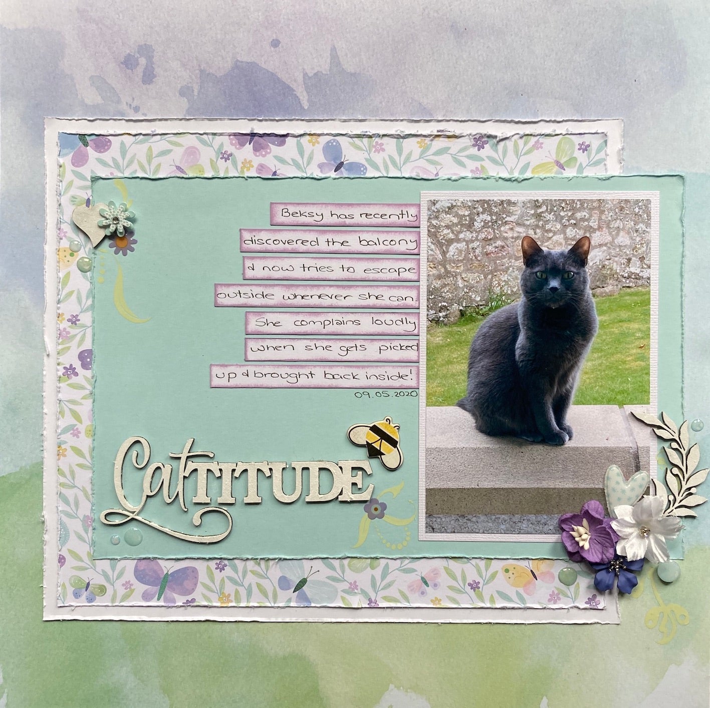 Cattitude Layout