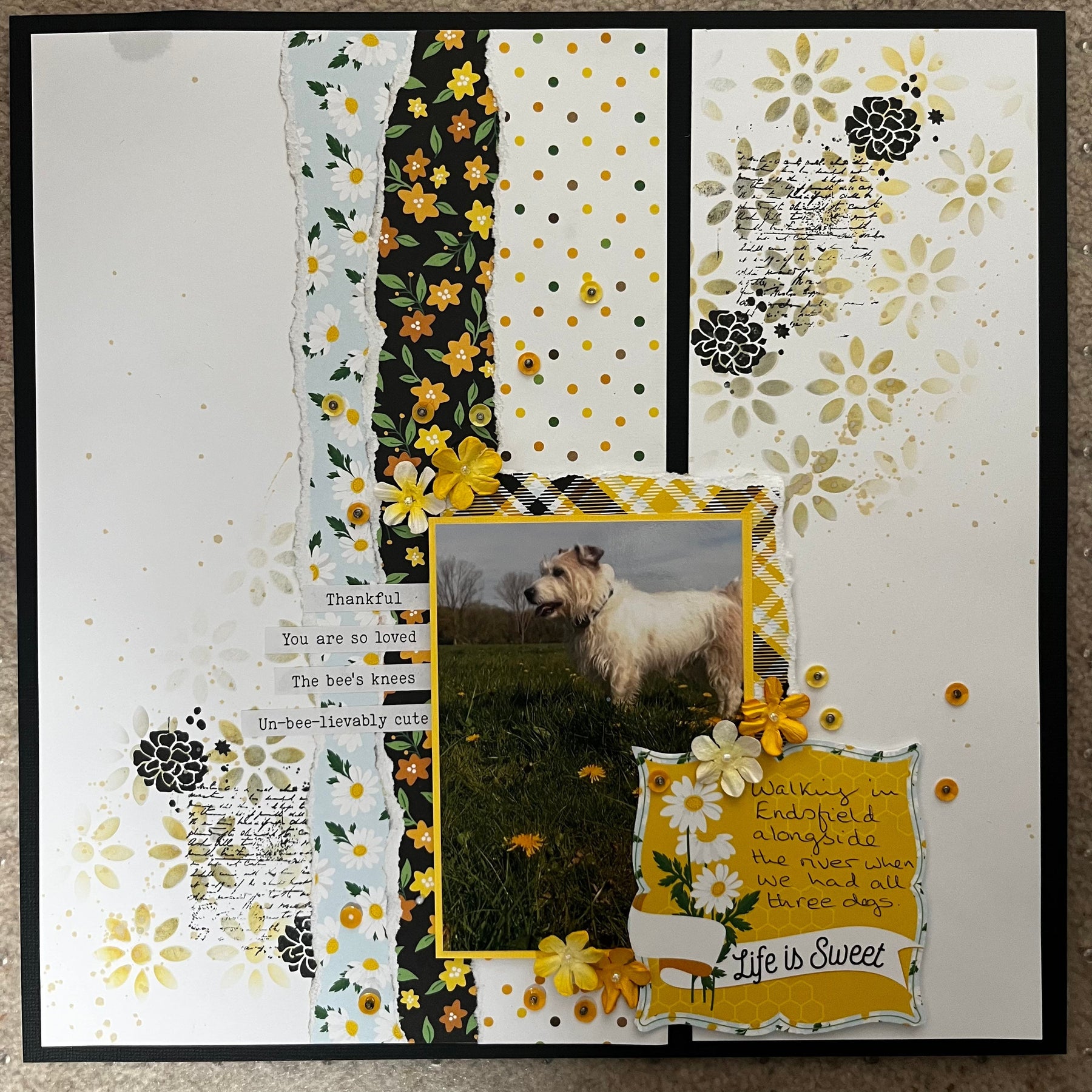 Life is Sweet by ELAINE KING