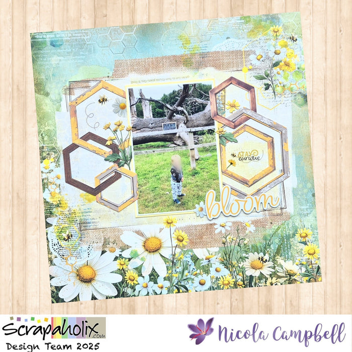 Bloom by NICOLA CAMPBELL