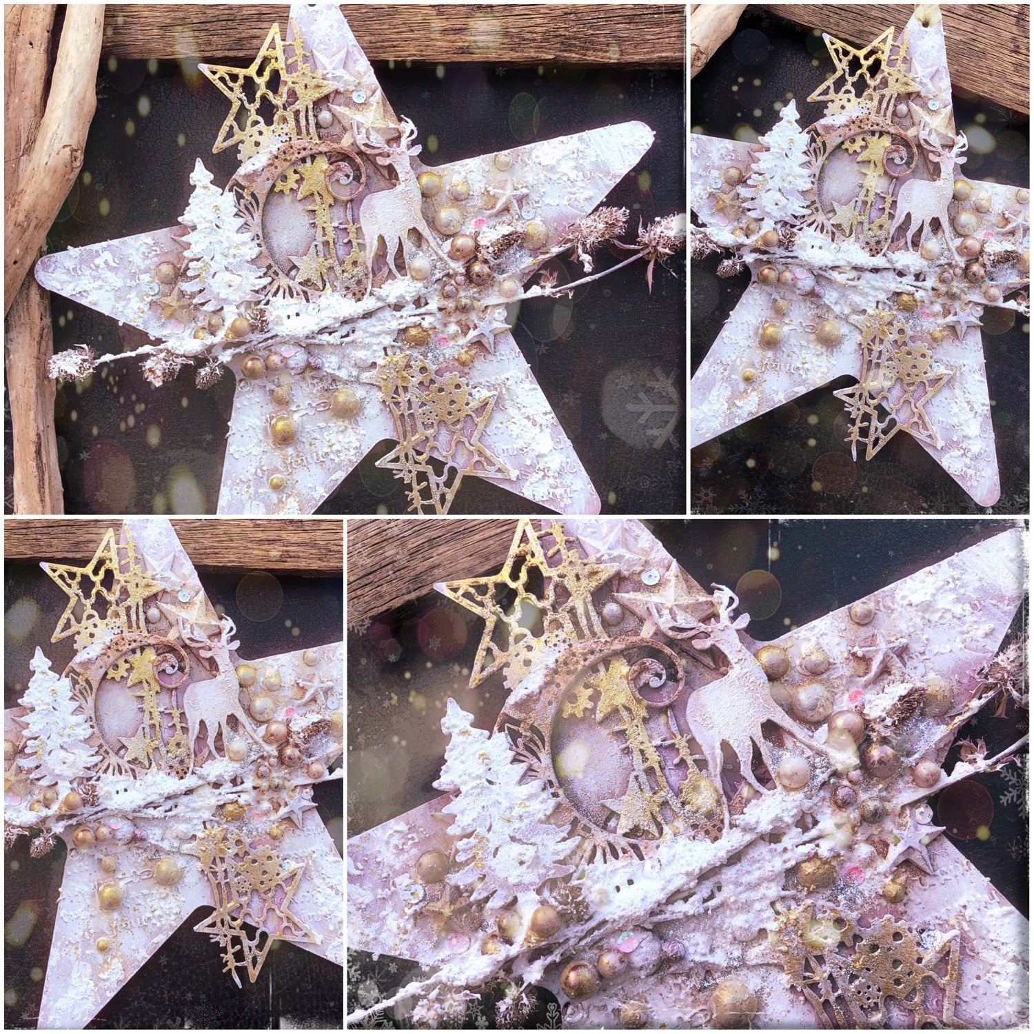 Winter star by LOUISE CROSBIE