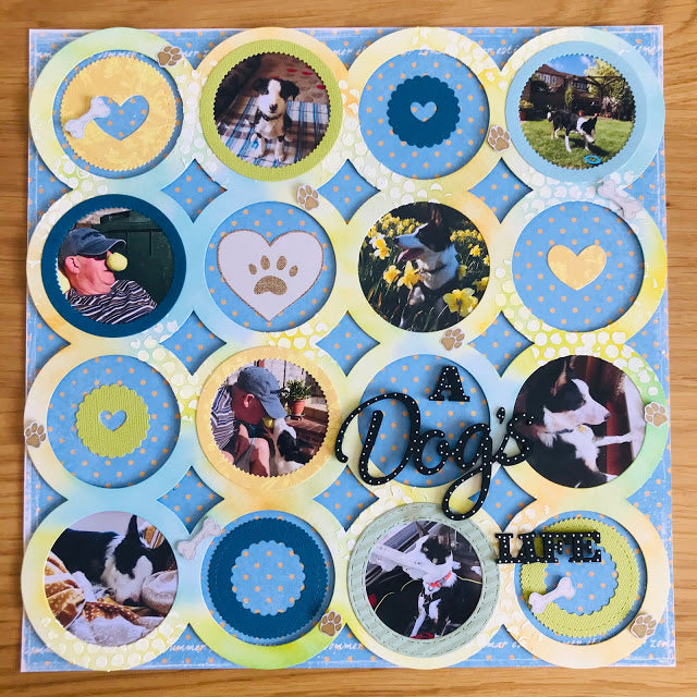 A Dog's Day by SUE CREASE