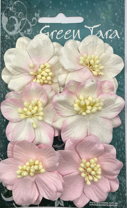 Azaleas - Rose Tones