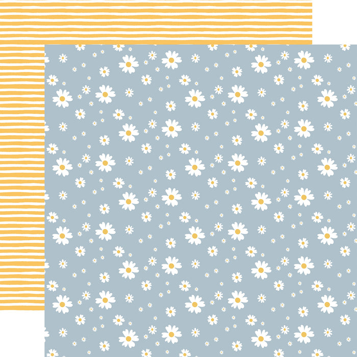 Firefly - Shining Daisies