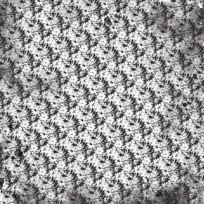 Color Swatch: Charcoal - Paper 5