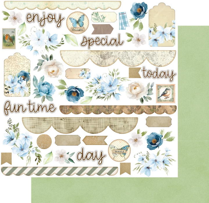 DELIGHTED CURIOSITIES - CURIOSITY CABINET PAPER