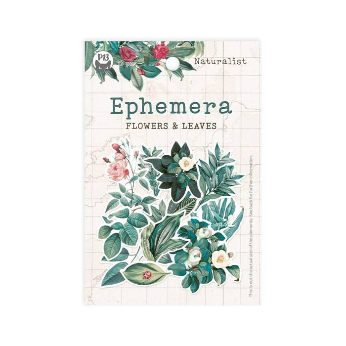 NATURALIST EPHEMERA SET - FLOWERS AND LEAVES