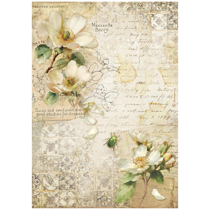 Rice paper Selection A4 - All Around