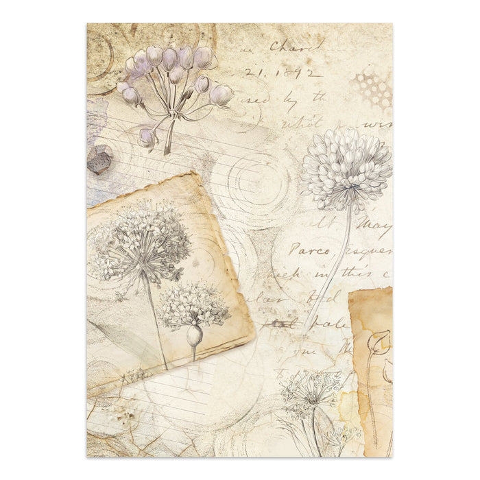Focus Points Junk Journal - All Around