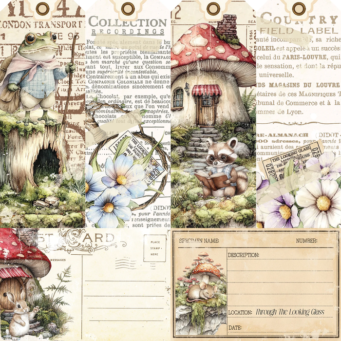 The Looking Glass Paper – Collector of Echoes