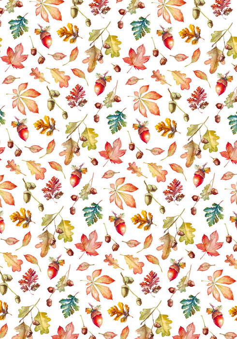 INTO THE WILD VELLUM PAPER PATTERNS A4