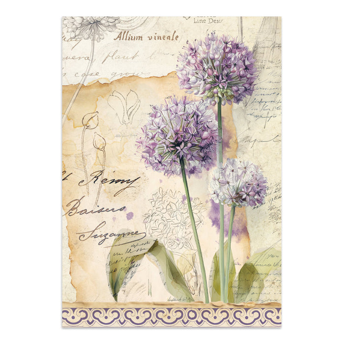 Focus Points Junk Journal - All Around