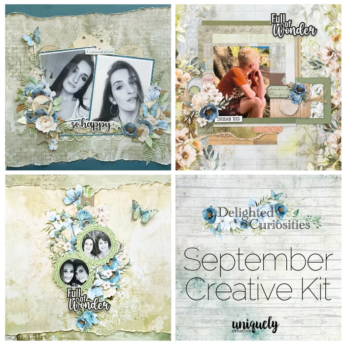 DELIGHTED CURIOSITIES CREATIVE KIT