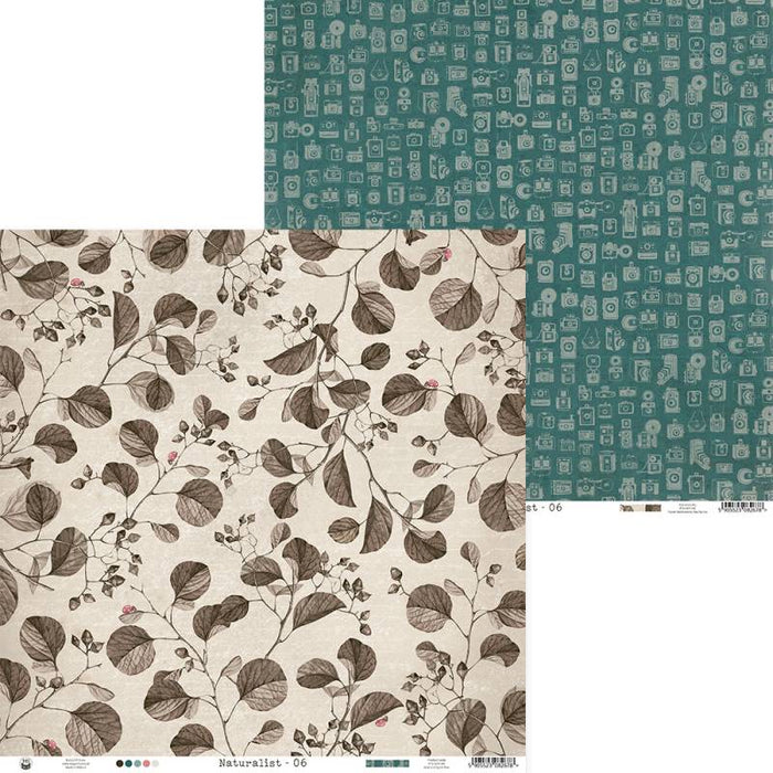 NATURALIST PAPER 06