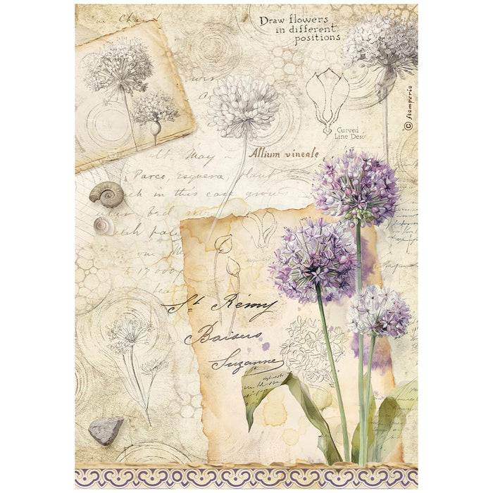 Printed A4 Rice paper - All Around Allium