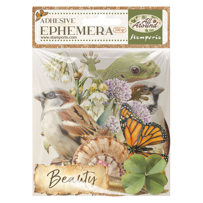 Printed Decorative Ephemera - All Around