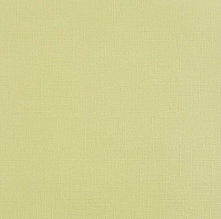 GOLDEN SAGE - Canvas Texture Cardstock