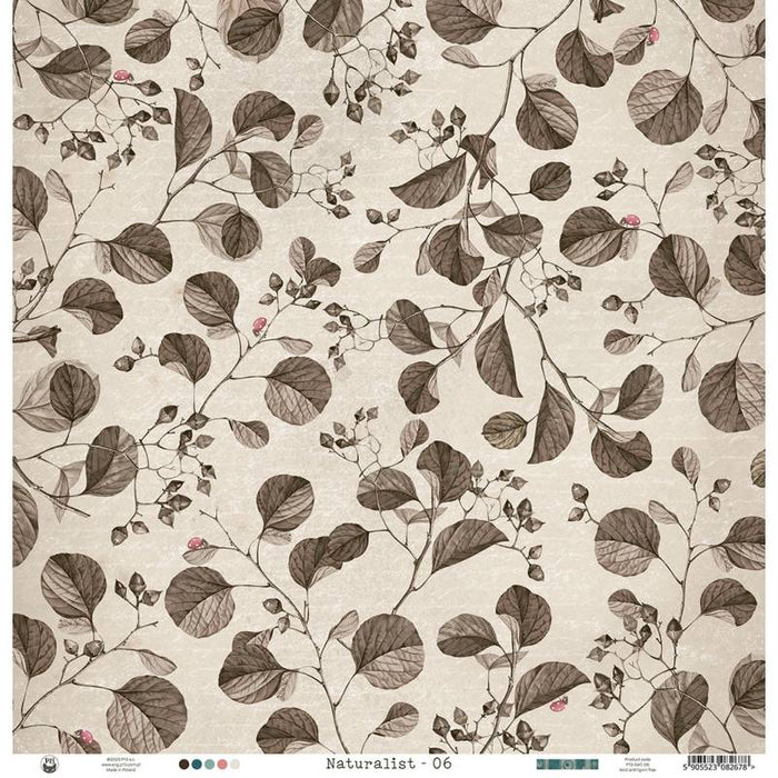 NATURALIST PAPER 06