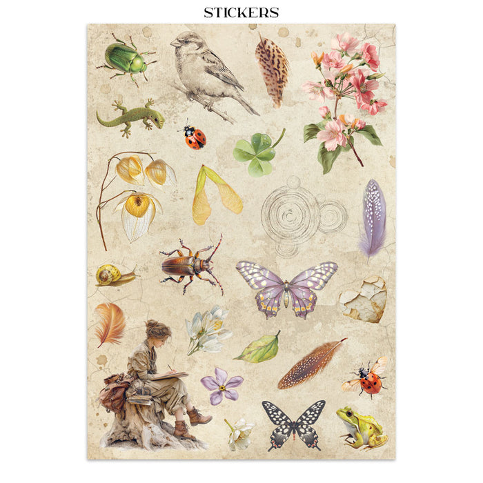 Stamperia Junk Journal - All Around
