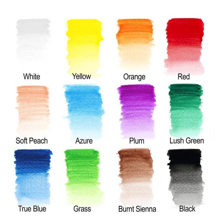 Winsor and Newton Watercolour Pencils x12