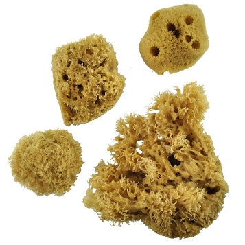 ROYAL & LANGNICKEL – NATURAL OCEAN SPONGES – COMBINATION PACK