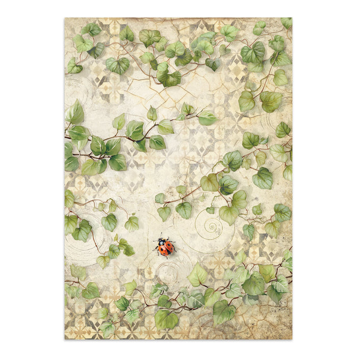 Stamperia Junk Journal - All Around