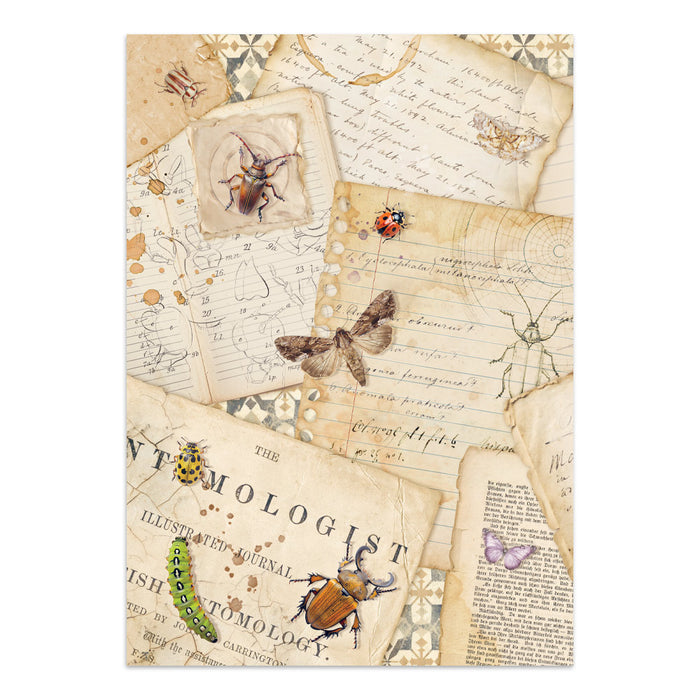 Stamperia Junk Journal - All Around