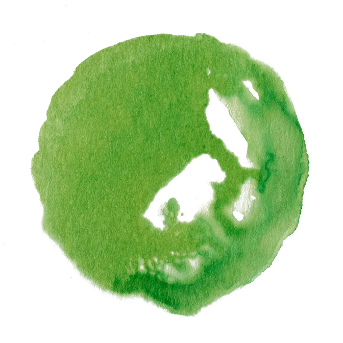 Winsor and Newton Drawing Ink 14ml - Apple Green