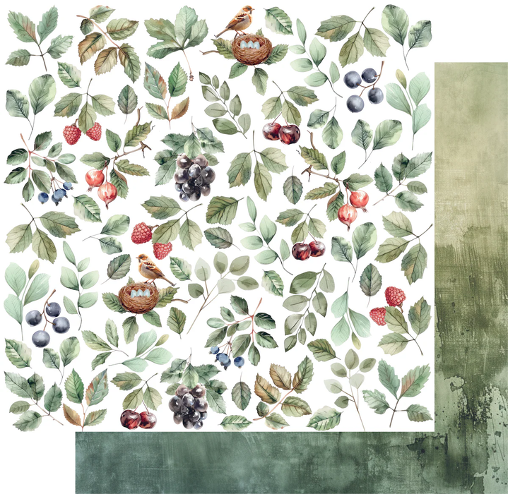 Botanical Chronicles - Natural Beauty Paper