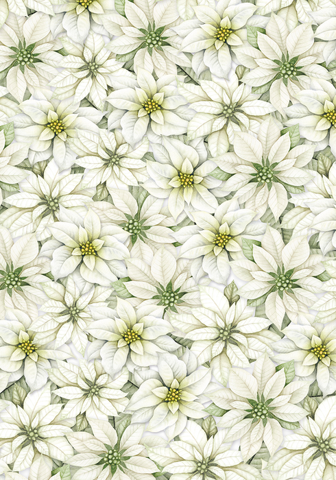 SPARKLING CHRISTMAS VELLUM PAPER PATTERNS A4