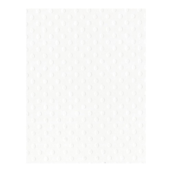 Salt/Dotted Swiss 8.5"X11"