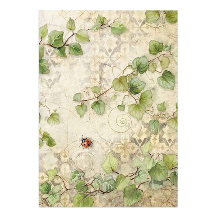 Focus Points Junk Journal - All Around