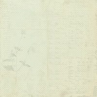 Botanical Chronicles - Nature's Palette Paper