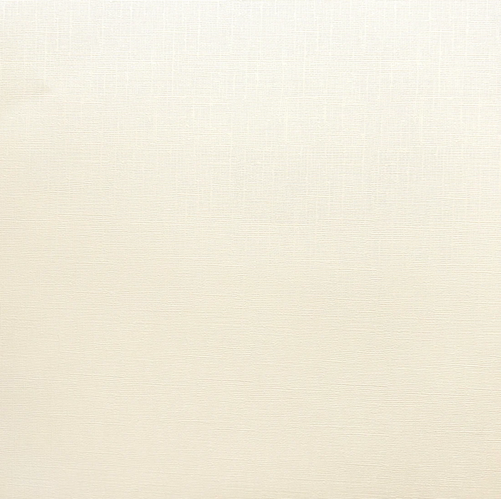 LINEN - Canvas Texture Cardstock