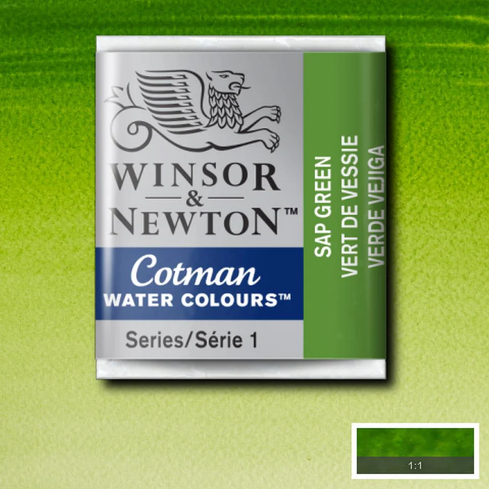 Winsor & Newton Cotman Watercolour - Half Pan - Sap Green