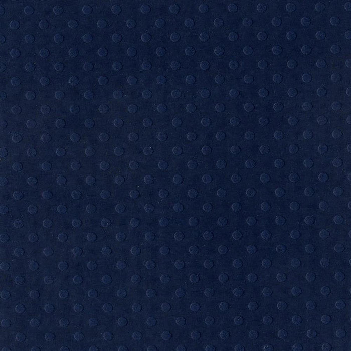 Deep Blue/Dotted Swiss