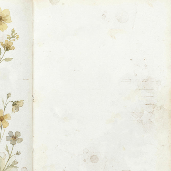 The Quiet Observer Paper – Vellum Whispers