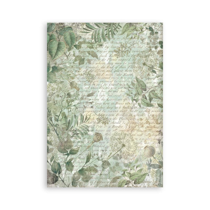 Herbarium Silvae Washi Pad