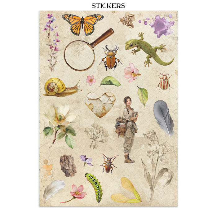 Stamperia Junk Journal - All Around