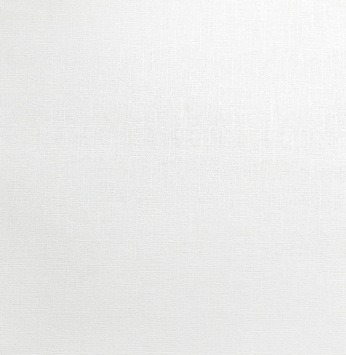 ALABASTER - Canvas Texture Cardstock