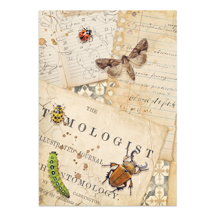 Focus Points Junk Journal - All Around
