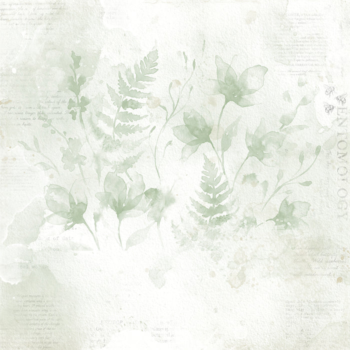 The Quiet Observer Paper – Pressed Reminiscence