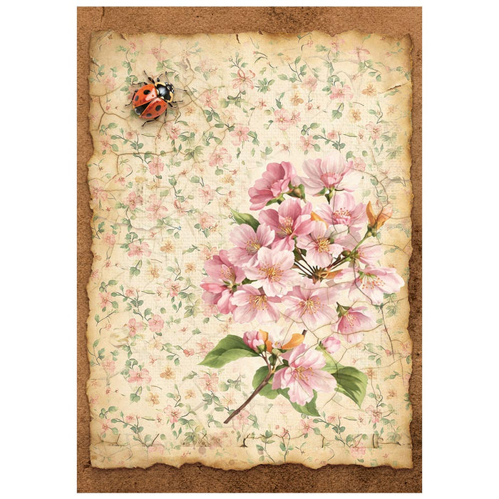 Printed Mini Rice paper A6 - All Around