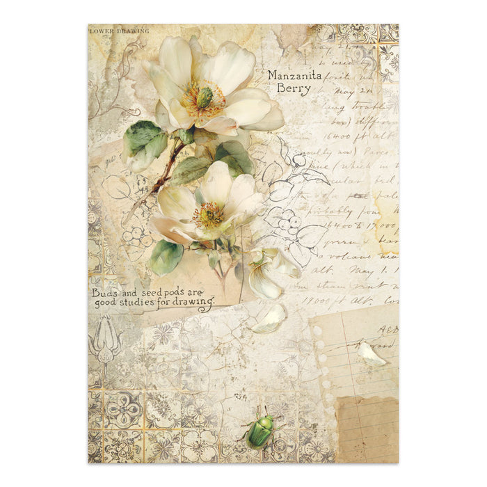 Stamperia Junk Journal - All Around