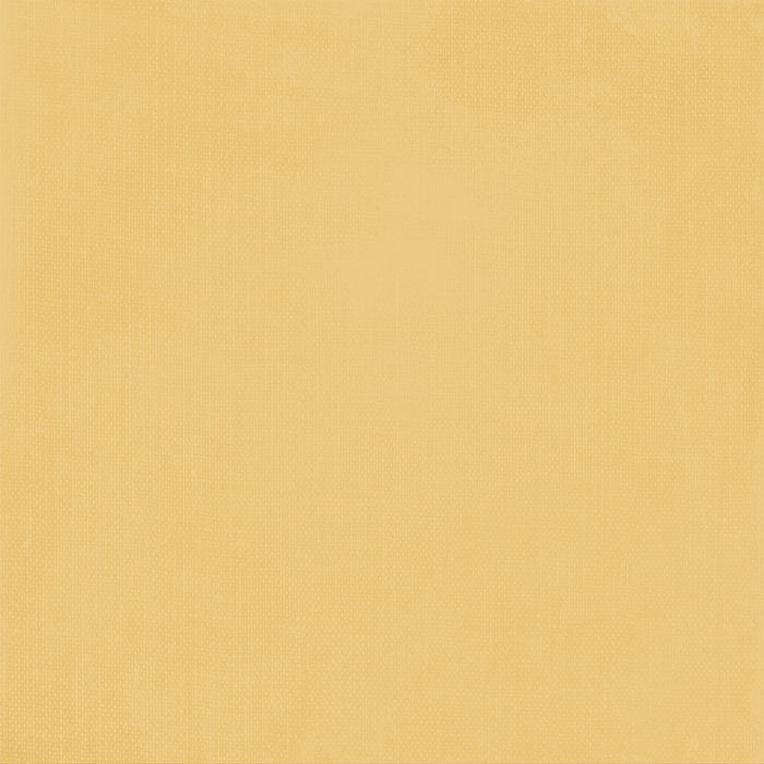 Season’s Bounty – Solids 2 Paper