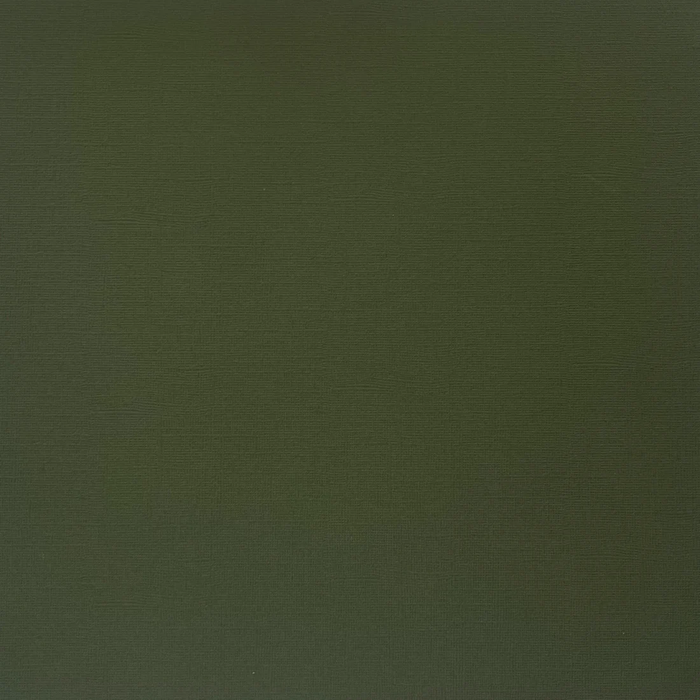 DARK OLIVE - Canvas Texture Cardstock