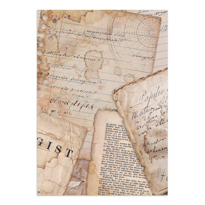 Focus Points Junk Journal - All Around